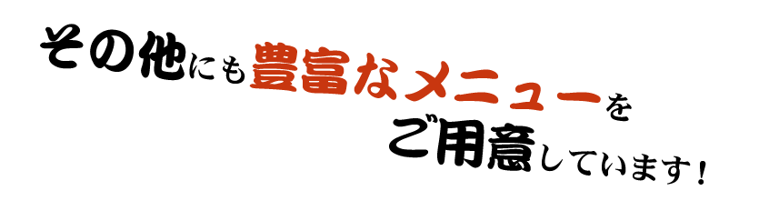 その他にも豊富なメニューをご用意しています！