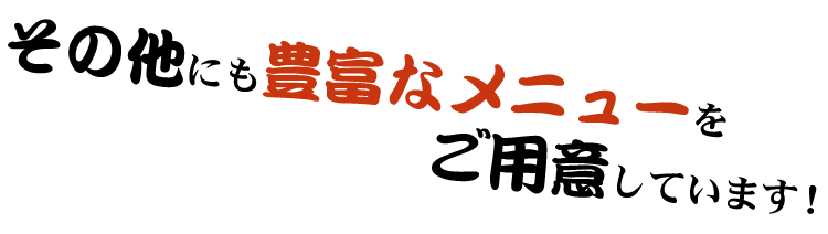 その他にも豊富なメニューをご用意しています！