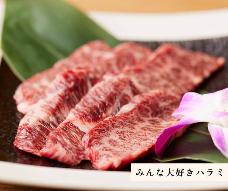 ハラミ